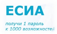 Регистрация в ЕСИА позволяет получать более 100 услуг круглосуточно