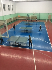 Турнир по настольному теннису среди жителей Батецкого района, посвященный Дню Защитника Отечества
